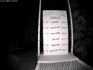 Castle Mountain: Storm Cam (skicastle.ca)