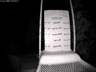 Castle Mountain: Storm Cam (skicastle.ca)