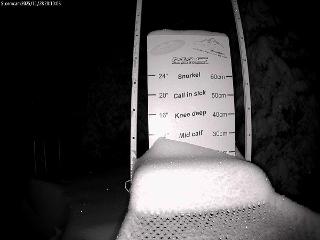 Castle Mountain: Storm Cam (skicastle.ca)