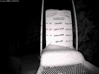 Castle Mountain: Storm Cam (skicastle.ca)