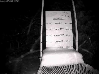 Castle Mountain: Storm Cam (skicastle.ca)