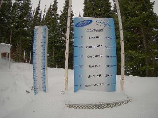 Castle Mountain: Storm Cam (skicastle.ca)