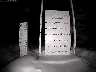 Castle Mountain: Storm Cam (skicastle.ca)