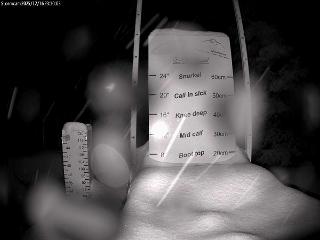 Castle Mountain: Storm Cam (skicastle.ca)