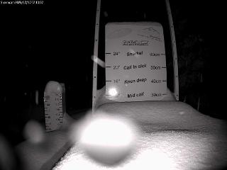 Castle Mountain: Storm Cam (skicastle.ca)