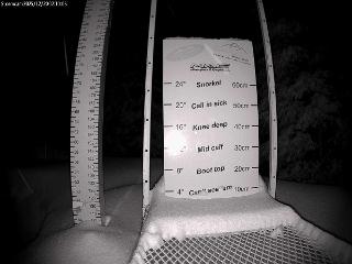 Castle Mountain: Storm Cam (skicastle.ca)