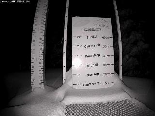 Castle Mountain: Storm Cam (skicastle.ca)