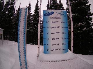 Castle Mountain: Storm Cam (skicastle.ca)