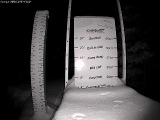 Castle Mountain: Storm Cam (skicastle.ca)