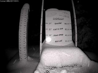 Castle Mountain: Storm Cam (skicastle.ca)