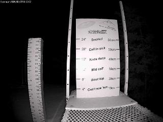 Castle Mountain: Storm Cam (skicastle.ca)