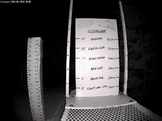 Castle Mountain: Storm Cam (skicastle.ca)