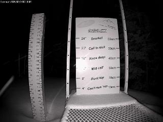 Castle Mountain: Storm Cam (skicastle.ca)