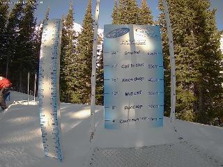 Castle Mountain: Storm Cam (skicastle.ca)