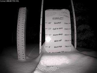 Castle Mountain: Storm Cam (skicastle.ca)