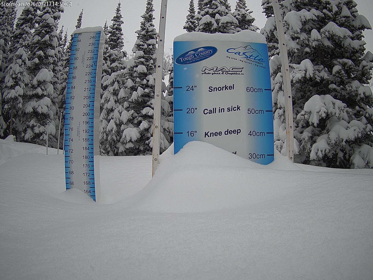 Webcam Castle Mountain: Storm Cam