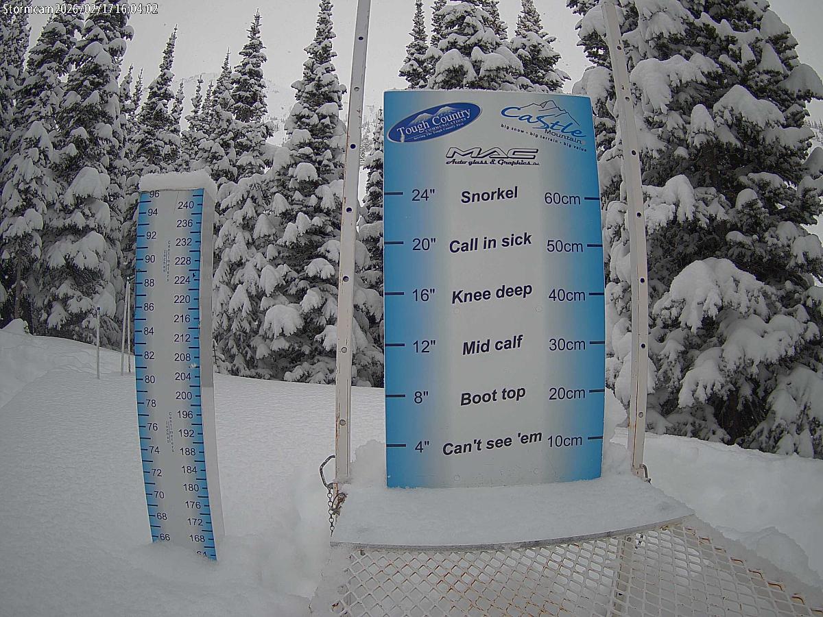 Webcam Castle Mountain: Storm Cam