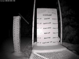 Castle Mountain: Storm Cam (skicastle.ca)
