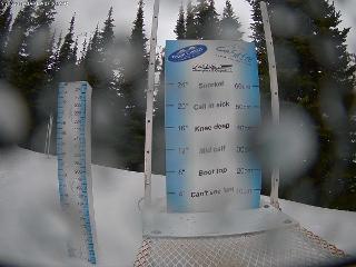 Castle Mountain: Storm Cam (skicastle.ca)