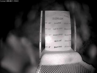 Castle Mountain: Storm Cam (skicastle.ca)