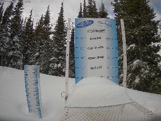 Castle Mountain: Storm Cam (skicastle.ca)