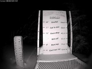 Castle Mountain: Storm Cam (skicastle.ca)