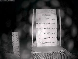 Castle Mountain: Storm Cam (skicastle.ca)