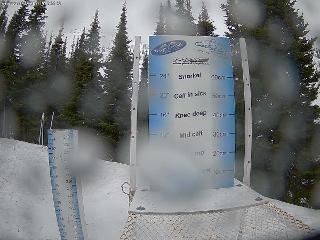 Castle Mountain: Storm Cam (skicastle.ca)
