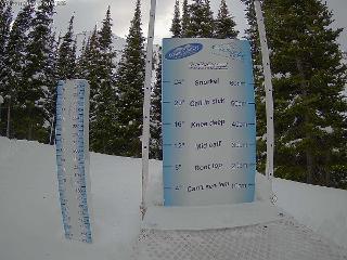 Castle Mountain: Storm Cam (skicastle.ca)