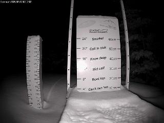 Castle Mountain: Storm Cam (skicastle.ca)