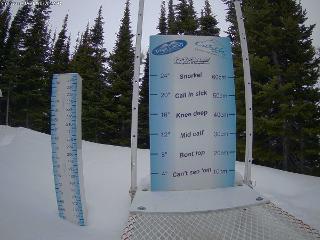 Castle Mountain: Storm Cam (skicastle.ca)