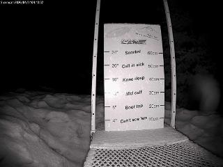 Castle Mountain: Storm Cam (skicastle.ca)