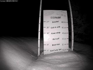 Castle Mountain: Storm Cam (skicastle.ca)