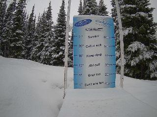 Castle Mountain: Storm Cam (skicastle.ca)