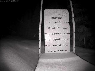 Castle Mountain: Storm Cam (skicastle.ca)
