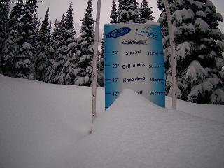 Castle Mountain: Storm Cam (skicastle.ca)