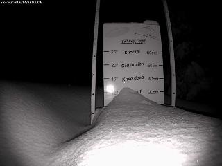 Castle Mountain: Storm Cam (skicastle.ca)