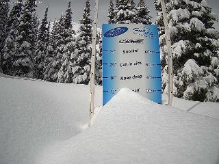 Castle Mountain: Storm Cam (skicastle.ca)