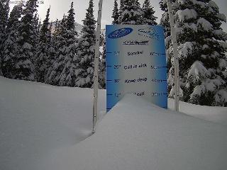 Castle Mountain: Storm Cam (skicastle.ca)