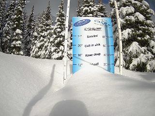 Castle Mountain: Storm Cam (skicastle.ca)