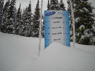 Castle Mountain: Storm Cam (skicastle.ca)