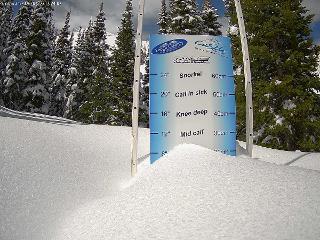 Castle Mountain: Storm Cam (skicastle.ca)