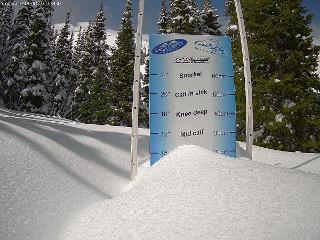 Castle Mountain: Storm Cam (skicastle.ca)