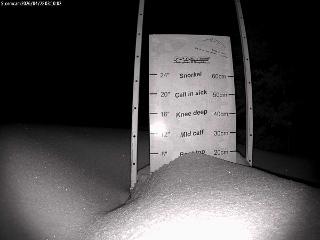 Castle Mountain: Storm Cam (skicastle.ca)