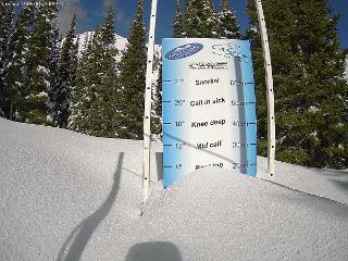 Castle Mountain webcam