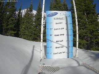 Castle Mountain: Storm Cam (skicastle.ca)