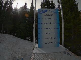 Castle Mountain: Storm Cam (skicastle.ca)