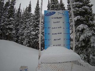 Castle Mountain: Storm Cam (skicastle.ca)