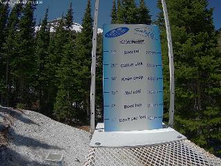 Castle Mountain: Storm Cam (skicastle.ca)