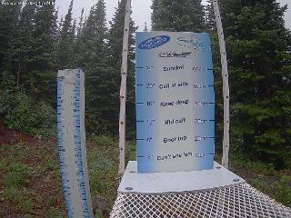 Castle Mountain: Storm Cam (skicastle.ca)